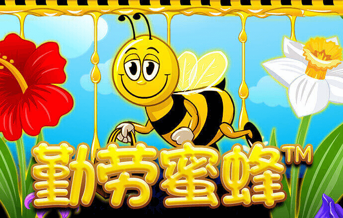 冠亚体育app官网入口