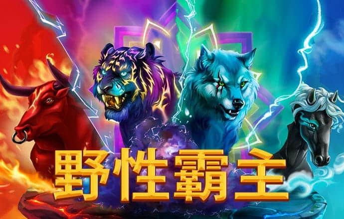 金沙2004cm官方